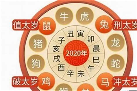 2023虎年運程1974男|1974年属虎人2023年运势及运程 74年49岁生肖虎2023年每月运。